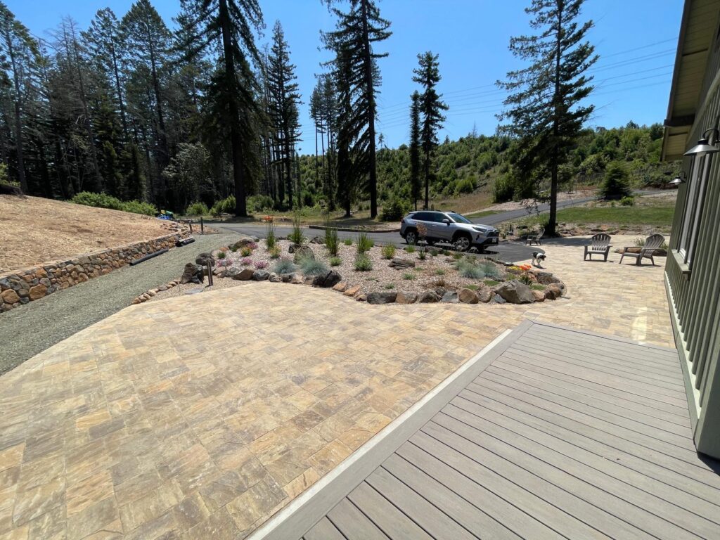 Yard cleanup