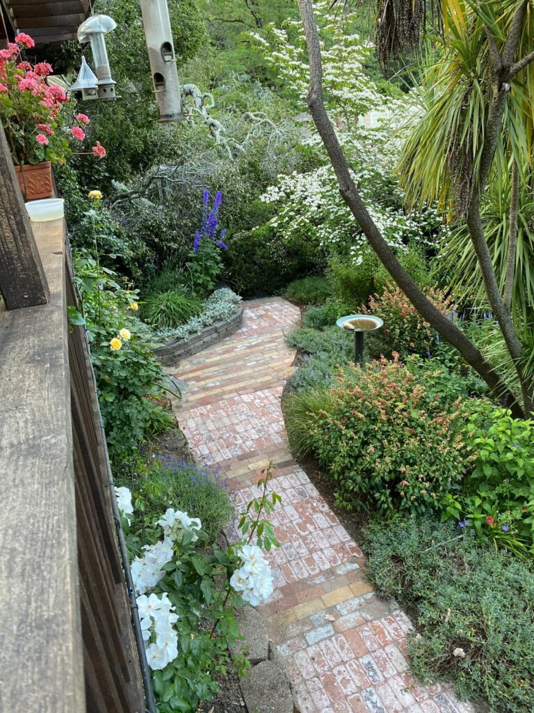 Garden Design